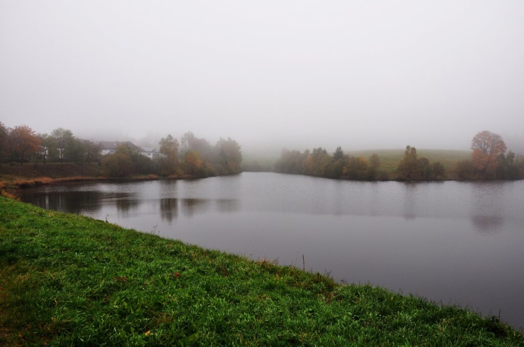 Nebeliger Herbsttag am ruhigen Teich in Clausthal-Zellerfeld mit grüner Wiese