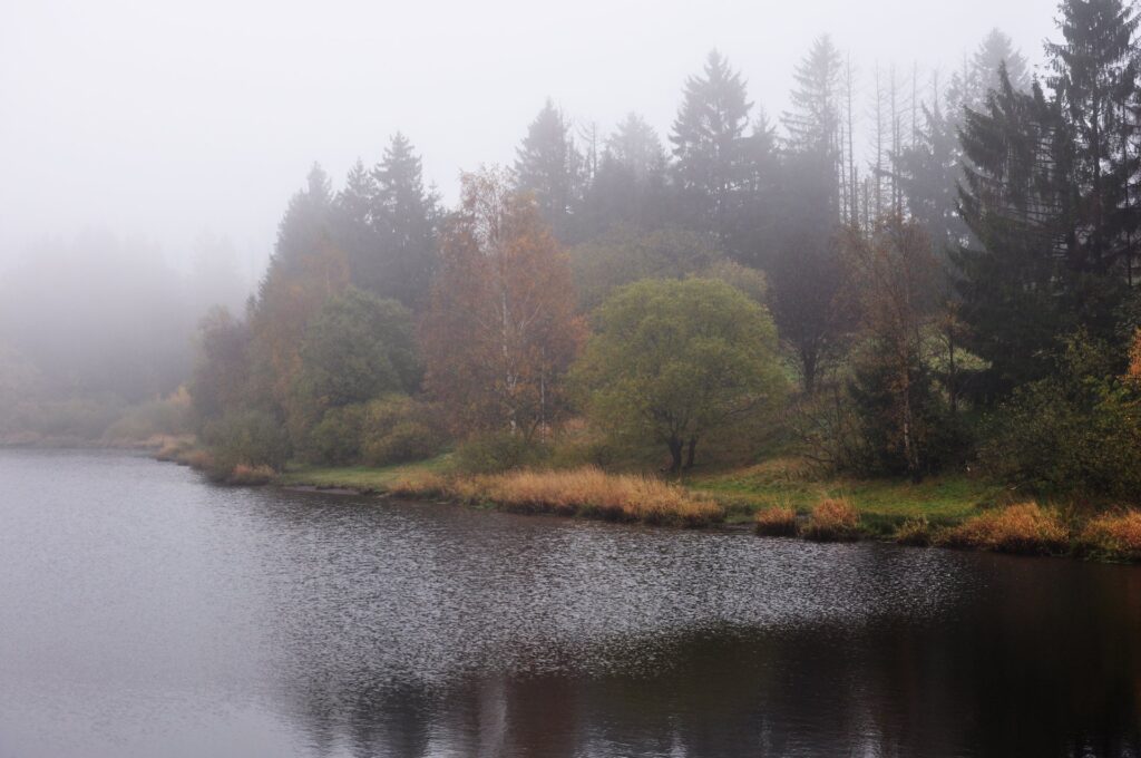 Nebliger Herbstsee mit Wald und bunten Bäumen in Clausthal-Zellerfeld