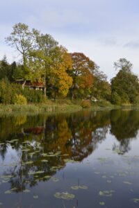 Teich mit Herbstbäumen und Spiegelung in Clausthal-Zellerfeld, Oberharz