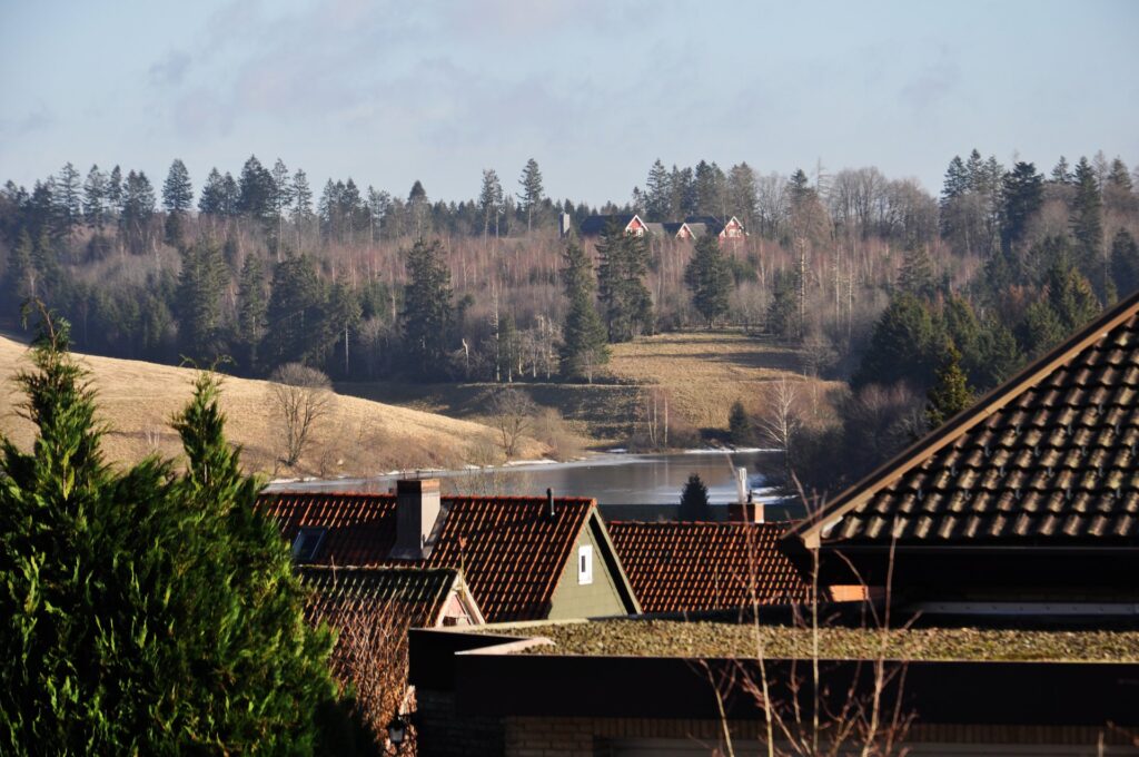 Clausthal-Zellerfeld im Winter: Häuser mit roten Dächern, See und Waldlandschaft