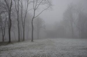 Neblige Baumreihe in Clausthal-Zellerfeld im Oberharz während des Winters