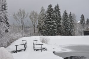 Schneebedeckter Teich mit Holzbänken, verschneite Bäume und Wald im Harz