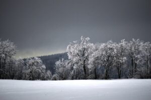 Schneebedeckte Bäume und verschneite Wiese im Oberharz bei Clausthal-Zellerfeld