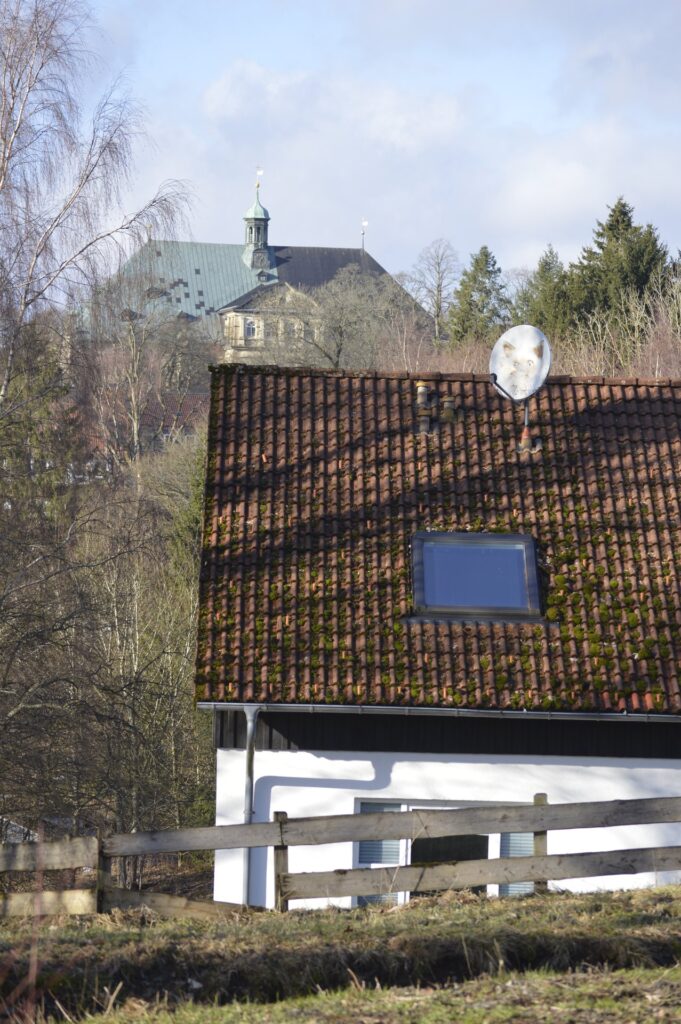 Altes Bergbauhaus mit Ziegeldach und Moos in Clausthal-Zellerfeld im Winter
