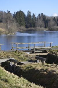 Gefrorener Teich mit Holzsteg und schneebedeckten Bäumen im Oberharz