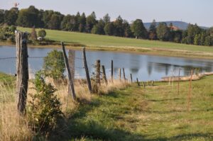 Alter Weidezaun an Flusslandschaft in Clausthal-Zellerfeld im Oberharz