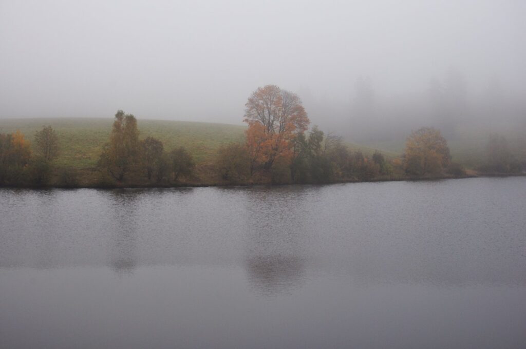 Nebeliger Herbsttag am See in Clausthal-Zellerfeld mit bunten Bäumen