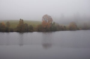 Nebeliger Herbsttag am See in Clausthal-Zellerfeld mit bunten Bäumen