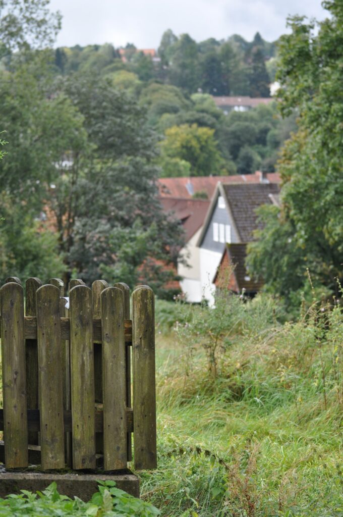 Altes Holztor mit Efeu und Herbstwald in Clausthal-Zellerfeld im Oberharz