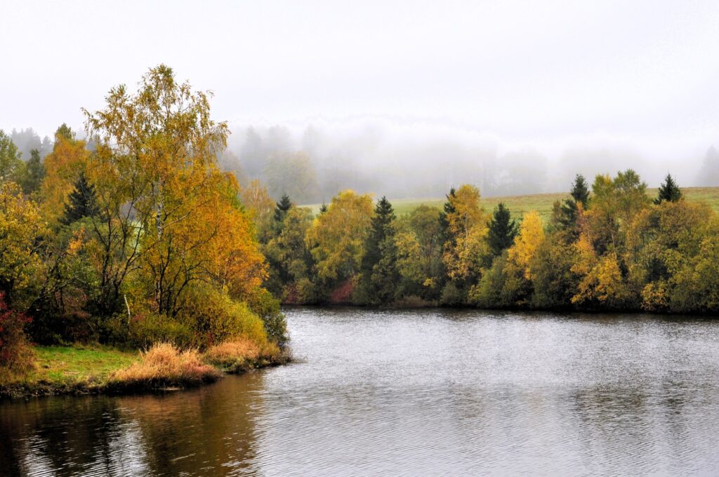 Herbstliche Waldlandschaft mit Fluss in Clausthal-Zellerfeld, Oberharz