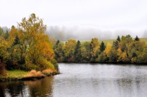 Herbstliche Waldlandschaft mit Fluss in Clausthal-Zellerfeld, Oberharz