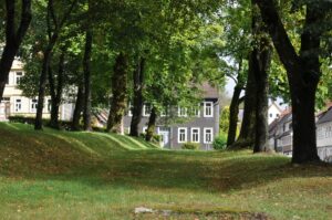 Baumallee mit Herbstlaub und historischen Häusern in Clausthal-Zellerfeld