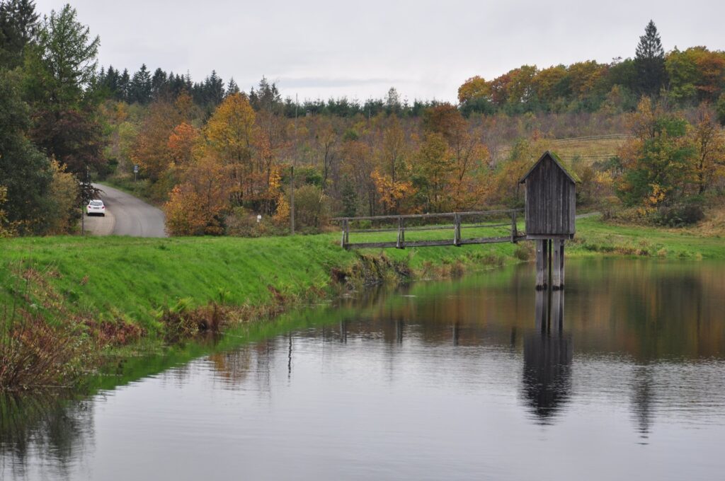Schwarzes Bootshaus spiegelt sich in ruhigem Wasser, umgeben von Herbstwald in Clausthal-Zellerfeld