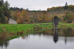 Schwarzes Bootshaus spiegelt sich in ruhigem Wasser, umgeben von Herbstwald in Clausthal-Zellerfeld