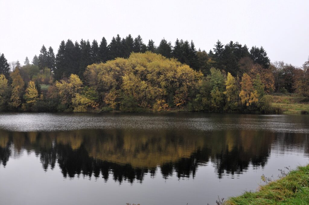 Teich mit herbstlichen Bäumen und Spiegelung in Clausthal-Zellerfeld, Oberharz