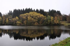 Teich mit herbstlichen Bäumen und Spiegelung in Clausthal-Zellerfeld, Oberharz