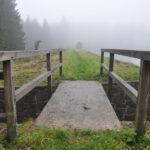 Holzgeländer auf Steinmauer neben Bergweg mit Nebelwald in Clausthal-Zellerfeld