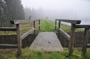 Holzgeländer auf Steinmauer neben Bergweg mit Nebelwald in Clausthal-Zellerfeld
