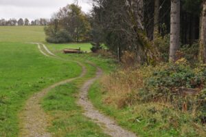 Kurvenreicher Feldweg durch Herbstlandschaft mit Wald, Clausthal-Zellerfeld Oberharz