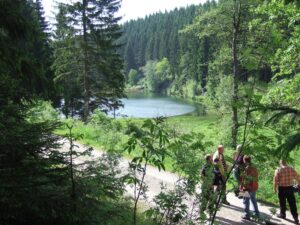 Clausthaler Verein e.V. in Clausthal-Zellerfeld