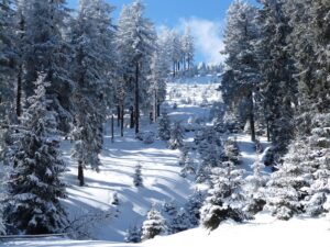 Tourist-Information Clausthal-Zellerfeld - Urlaubswelt Harz in Clausthal-Zellerfeld