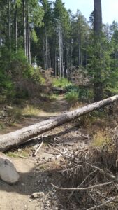 Volksbank Arena Harz in Clausthal-Zellerfeld
